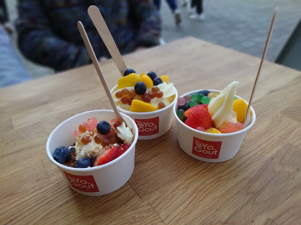 Frozen Yogurt and Granola with Fruits